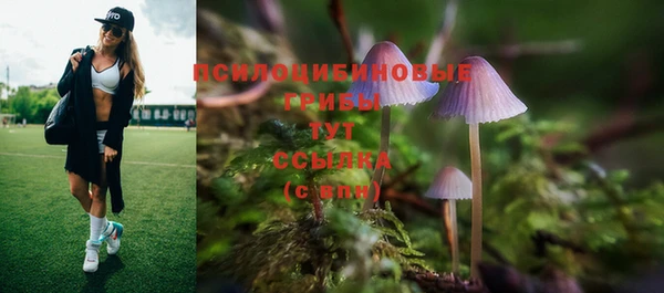 а пвп мука Красноперекопск