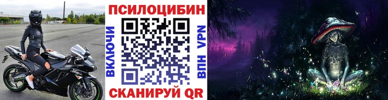 где можно купить наркотик  гидра вход  Псилоцибиновые грибы мицелий  Лысково 