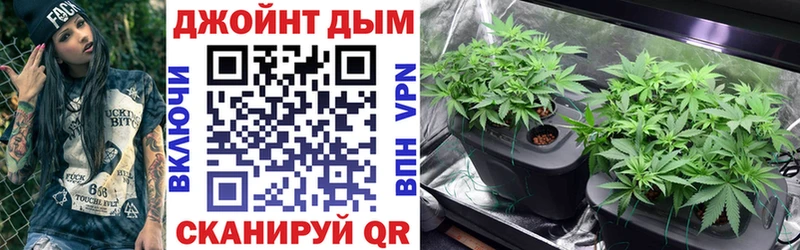 как найти наркотики  Лысково  Конопля Ganja 